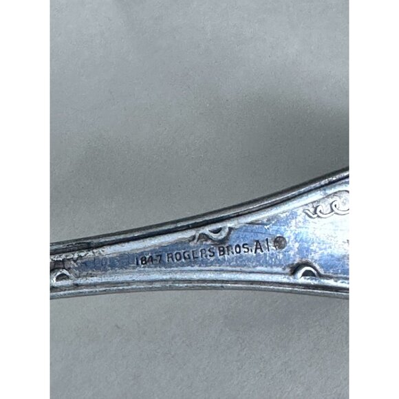 Rogers Bros A1 Large Serving Spoon Silverware Silver Plated Grape Pattern 1847 - Picture 9 of 16